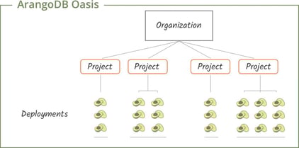 ArangoDB Oasis Structure