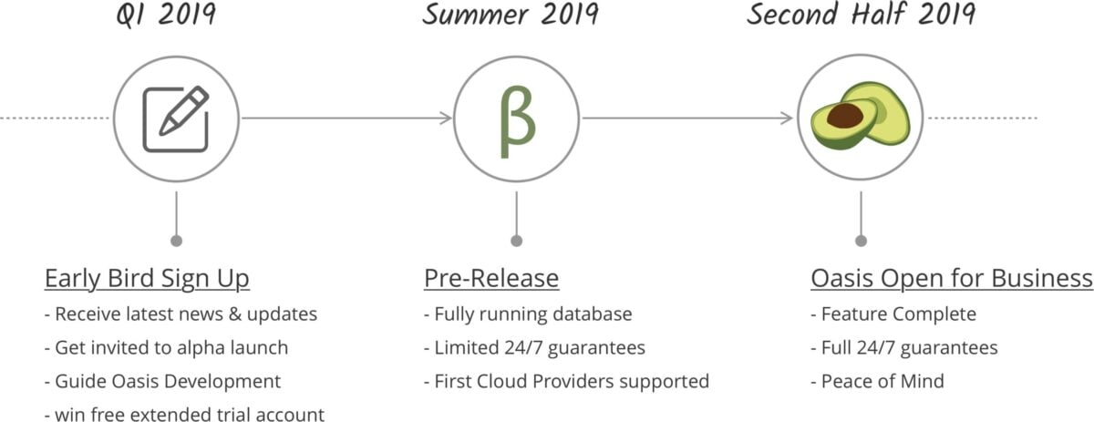 Managed Service Timeline 
