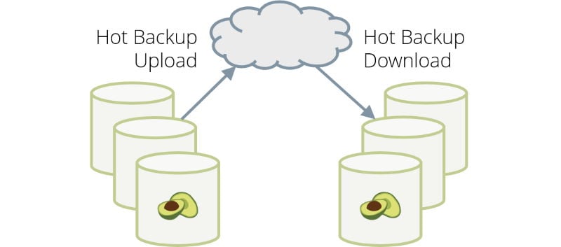 arangodb 3.5.1 hot backup upload download